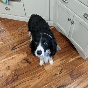 Meet your Posher, Derek